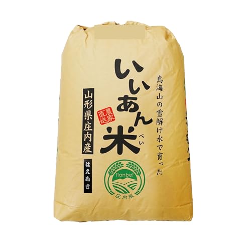玄米 はえぬき 玄米30kg 30Kg」の人気商品一覧 | 安い商品を通販サイト